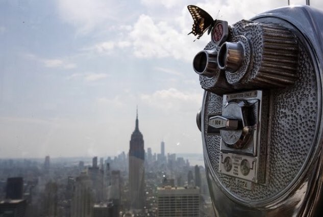 “...
Me enervan los que no tienen dudas
y aquellos que se aferran a sus ideales
sobre los de cualquiera

Me cansa tanto tráfico
y tanto sin sentido
varado frente al mar mientras el mundo gira”.

#Poema Ideario de Francisco M. Ortega Palomares

Foto: Drew Angerer/Getty Images