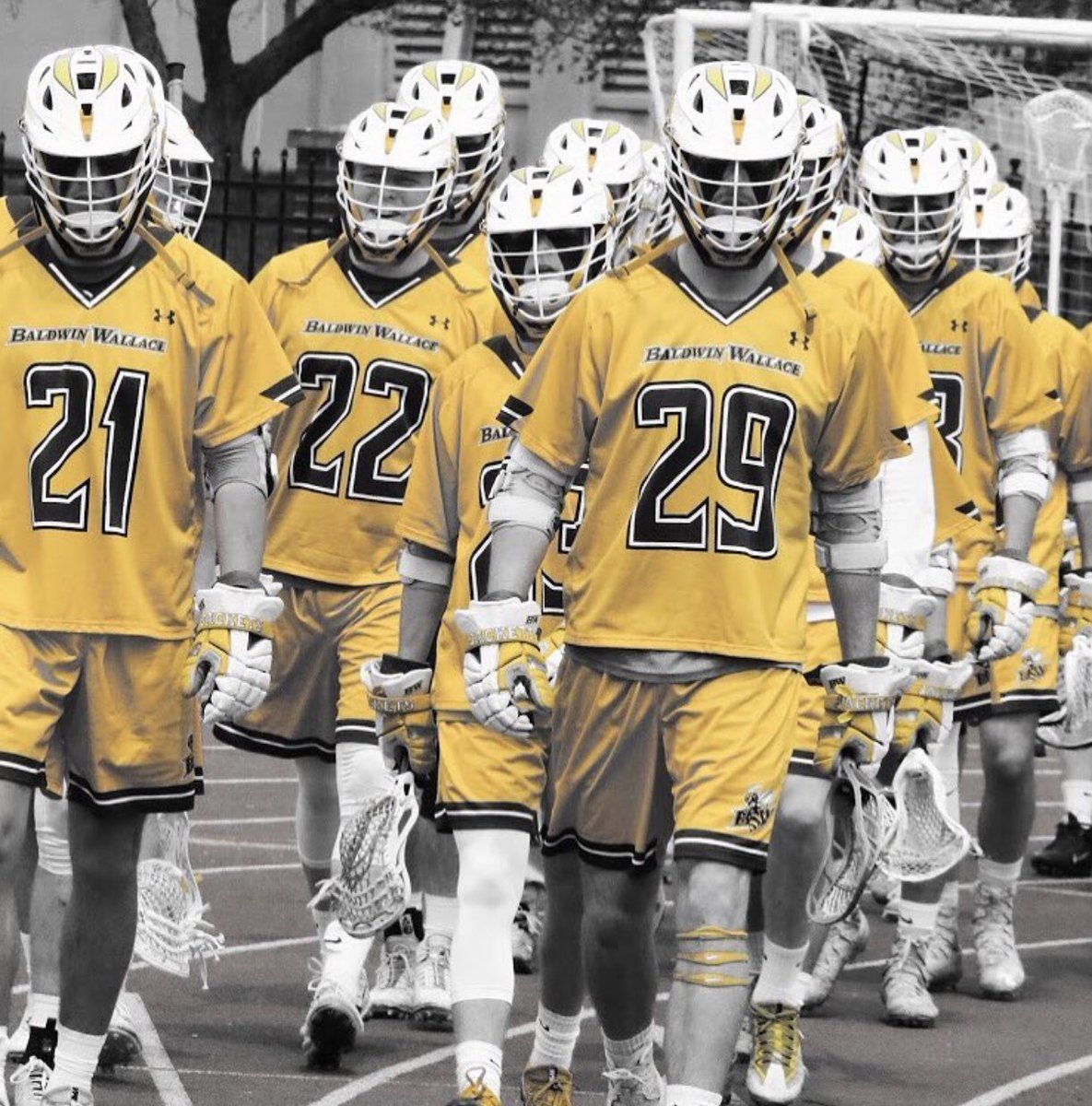 momentumlax tweet picture