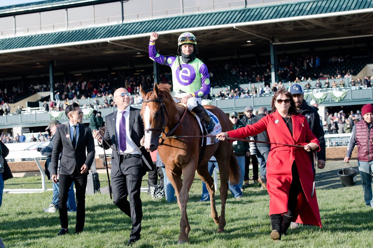 BloodHorse's tweet photo. .@StonestreetFarm and @e5Racing's champion #GoodMagic has officially retired to @HillnDaleFarm in Lexington, KY. The best to luck to this strapping son of Curlin as he embarks on his new career at stud! (Photos: @BH_AEberhardt) https://t.co/59ESqHQ8hW