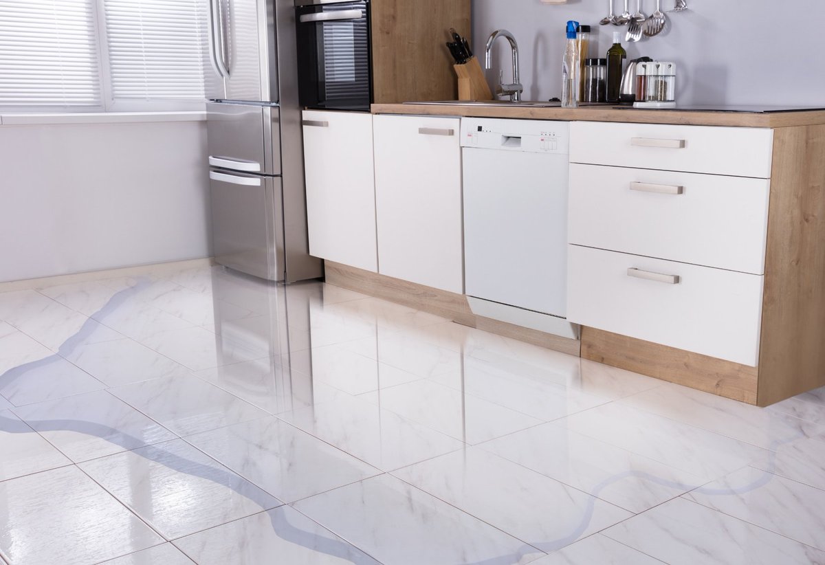 DisasterDoctors's tweet photo. If your refrigerator or ice maker is leaking and causing water damage, give Disaster Doctors a call today at 801-210-1988 for a free quote! We are here to help 24/7.💧
https://t.co/CxOgn2c8C9 https://t.co/p4reLAzEX2