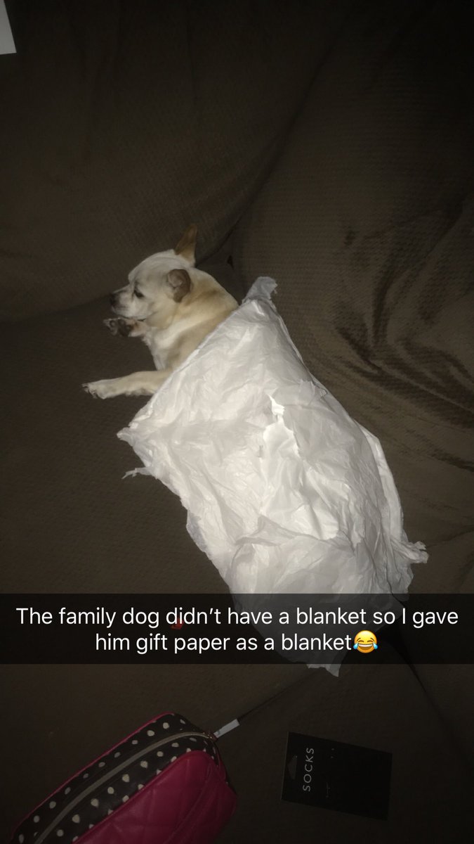 DavidBeFkot's tweet photo. When you spend the night at a friends house and they don’t give you a blanket 🤷🏽‍♂️ https://t.co/kF0psSk6fr