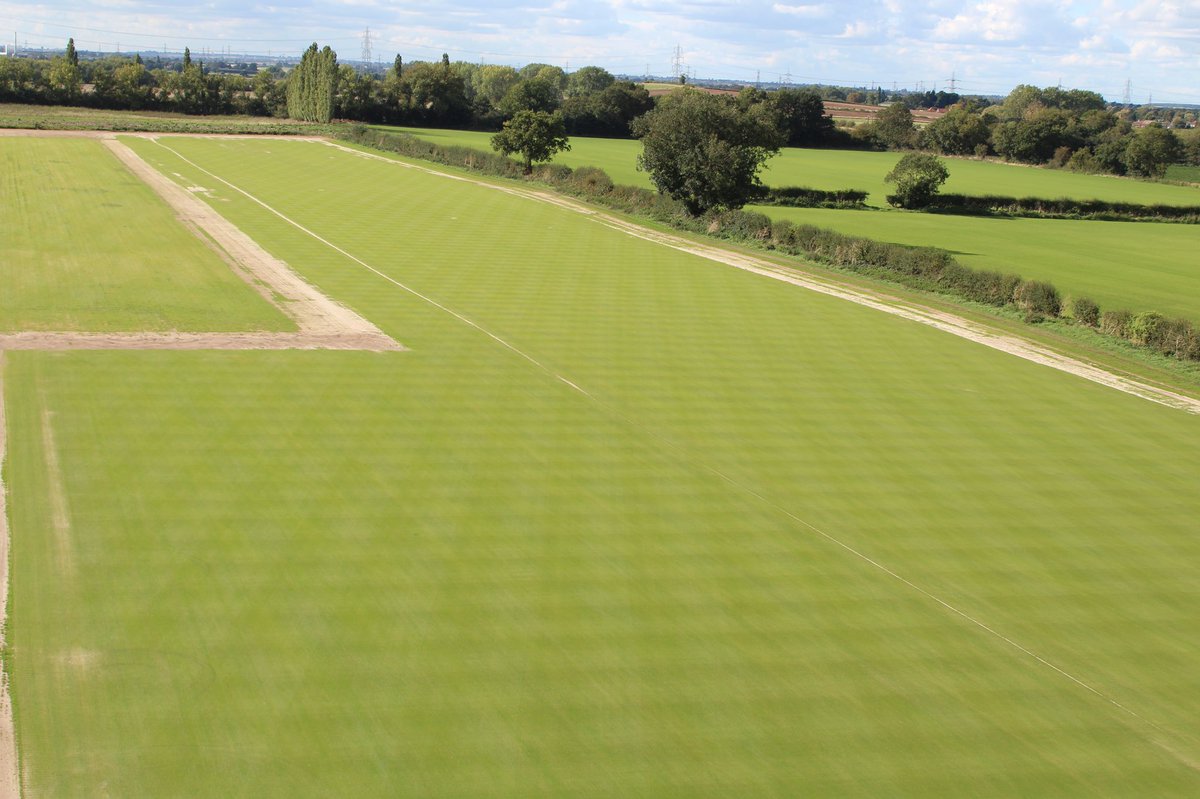 tillersturf's tweet image. Our new sowings of 007 Creeping Bent 
Our developing stocks of Creeping Bent @wearegerminal