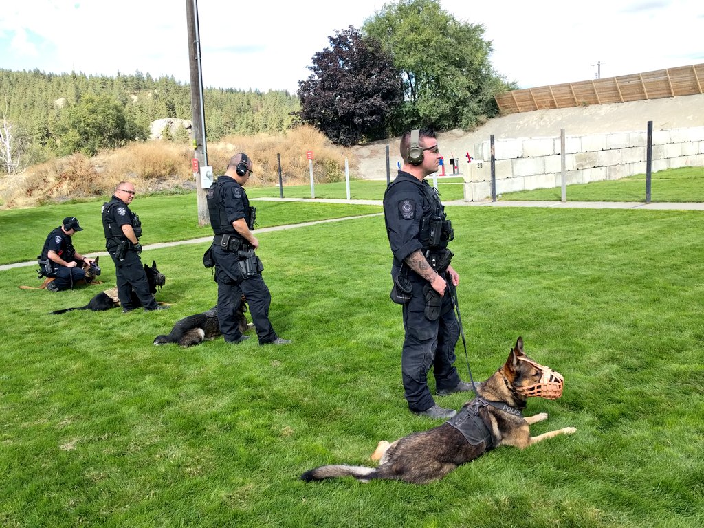 VPDCanine's tweet image. Day 1 @SpokanePDK9 Advanced Handler Course is a go. First up, PSD Hawk &amp;amp; PSD Jack do some gunfire neutralization drills with the group. #gooddogs #VPDK9 #calmdogs