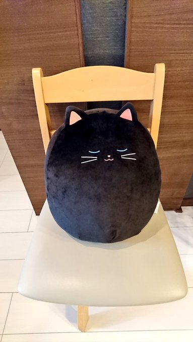 日焼け バイアス アフリカ人 ニトリ もちもち クッション 猫 Rentalsalon Jp