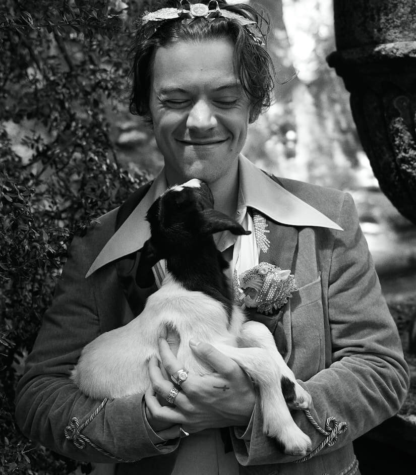 gldensatellite's tweet photo. rt to be in a gc with @kiwiprada and @hesadrenaline n me tehe
- stan harry duh
- be a crackhead perhaps
- don’t be problematic PLEASE
- BE NICE 
- somewhat selective cause i wanna be close <3 https://t.co/i7XNwFDmy5
