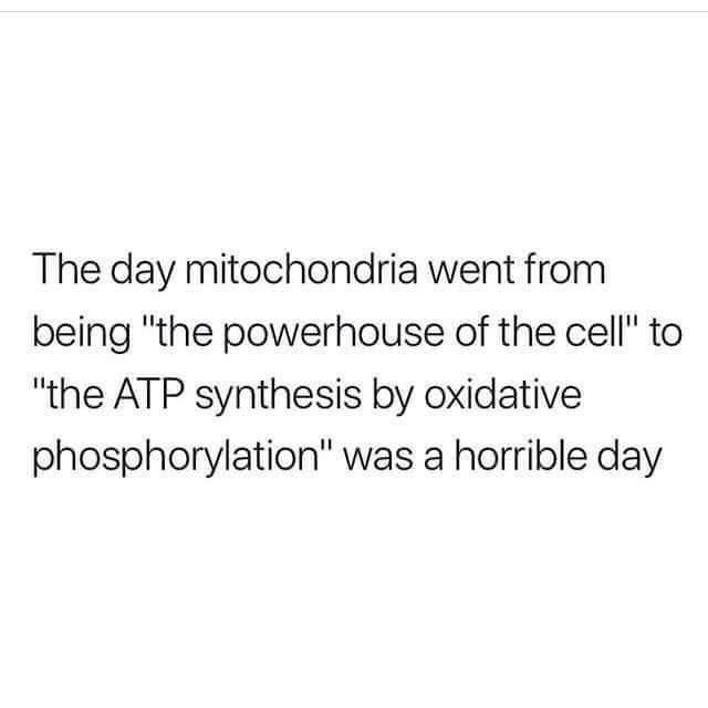 coachmartnz's tweet image. I remember this day so clearly. It was fall 2012 in Winston-Salem, NC Salem College Sci Bldg 101. #BiologyMajor #ScienceMajor #ExerciseScienceMajor 🤓⚗️🔬