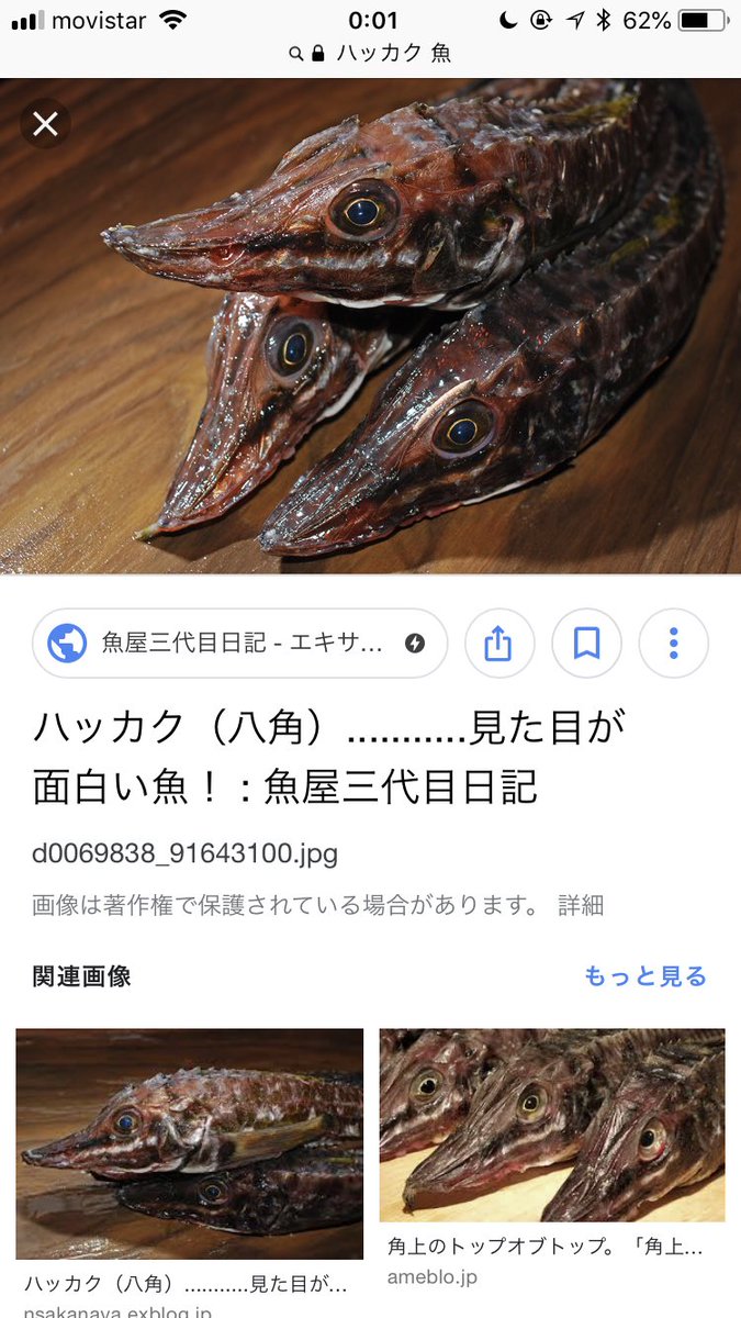 マル 今調べたら別種らしいよね 日本のはキアンコウとクツアンコウ ヨーロッパ はニシアンコウ アメリカはアメリカアンコウとな でもたぶん日本人ほど魚の種類にこだわらないんだろうなっていう気もする マル 今調べたら別種らしいよね 日本のはキアンコウとクツアンコウ ヨーロッパ はニシアンコウ アメリカはアメリカアンコウとな でもたぶん日本人ほど魚の種類にこだわらないんだろうなっていう気もする