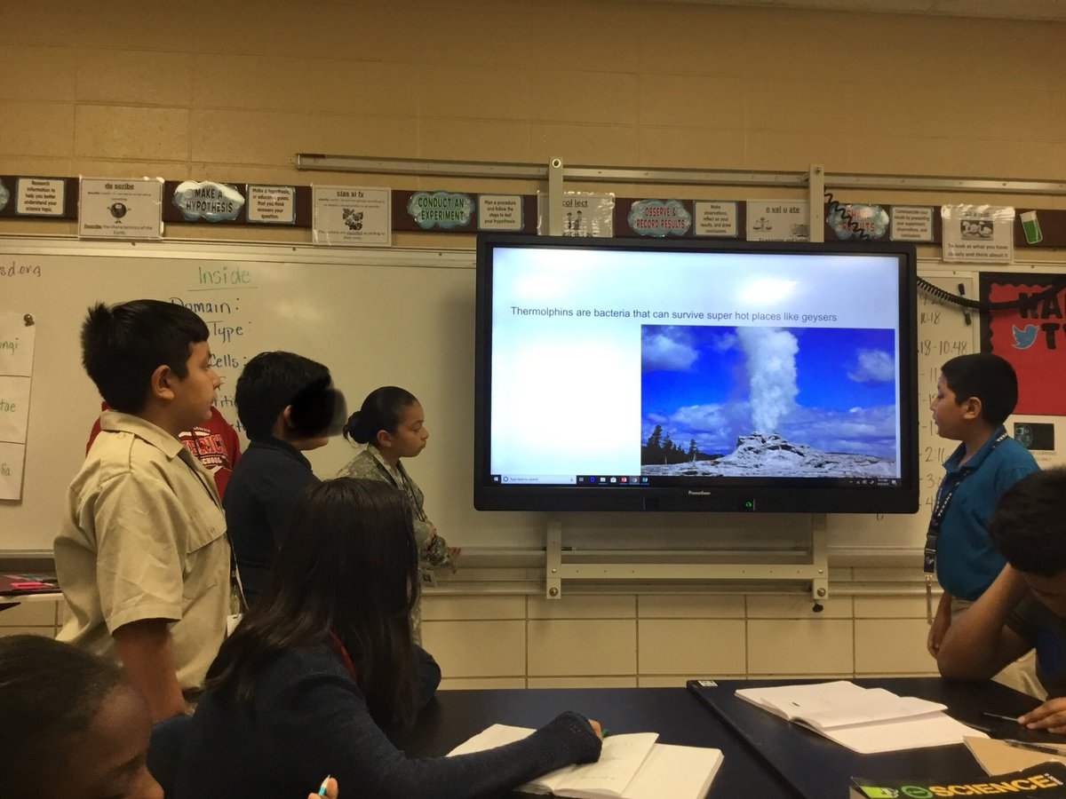 Mr_Posada_'s tweet photo. Students analyzing articles to become experts at their taxonomic kingdom and making anchor charts to teach their classmates in a formal presentation. @Hambrick_Hawks #AISDMSciFam #StudentsLeadLearning #LetsGoBigRed https://t.co/6gzi1WFuGi