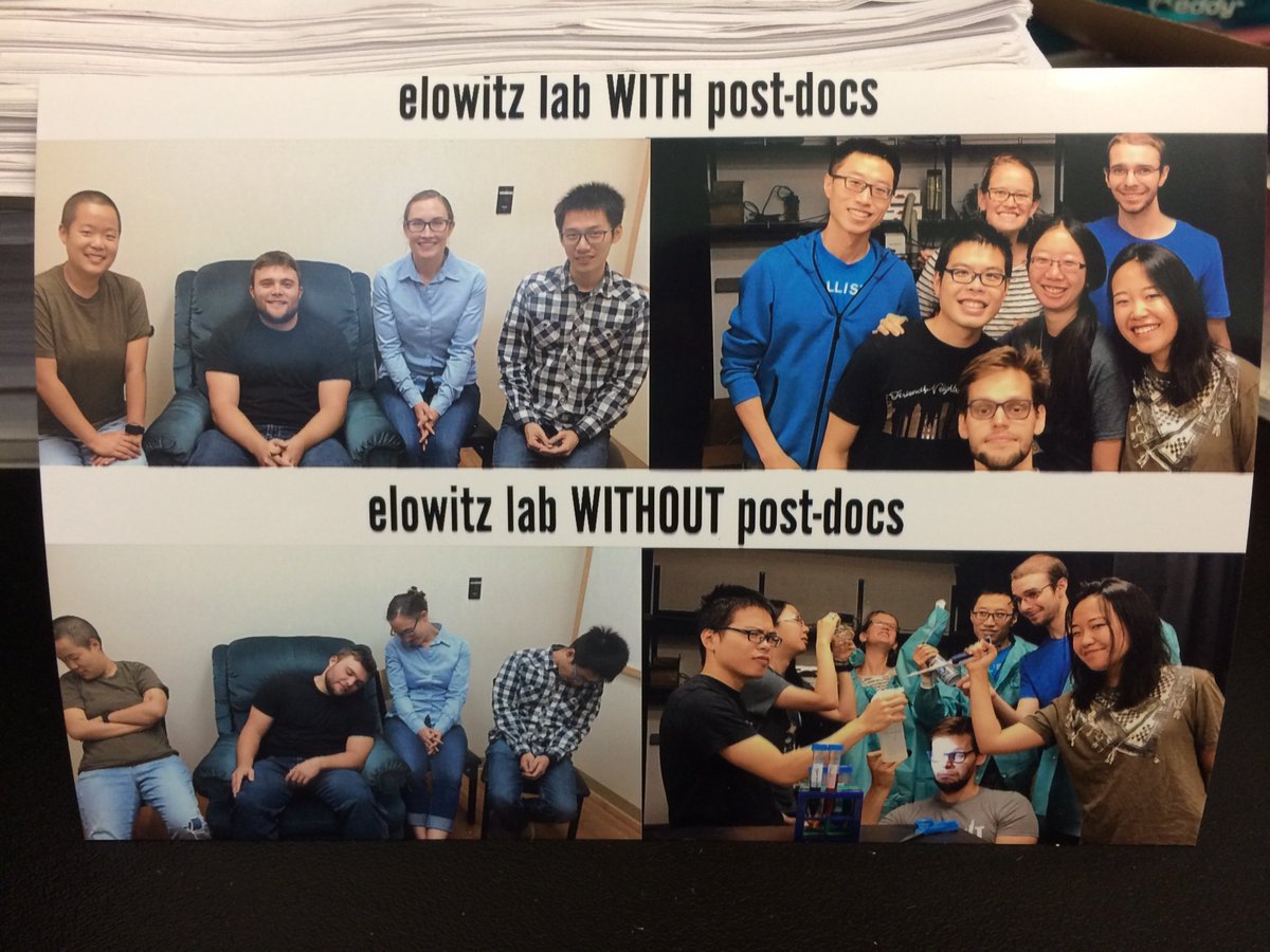 The precious surprise gift for the Postdoc Appreciation Week. The Elowitz lab grad students are awesome!!!