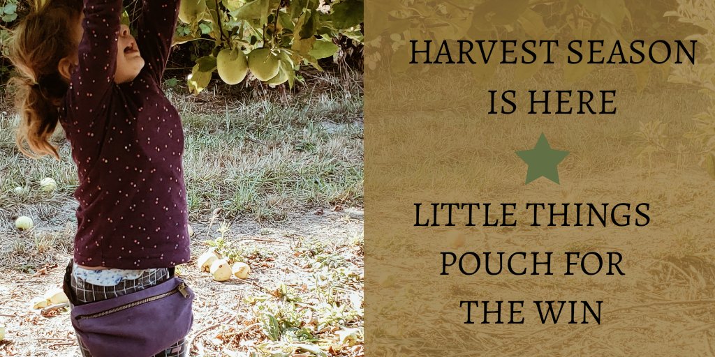 CascadeHM's tweet photo. #fall #parenting https://t.co/CAoUJ0fss0