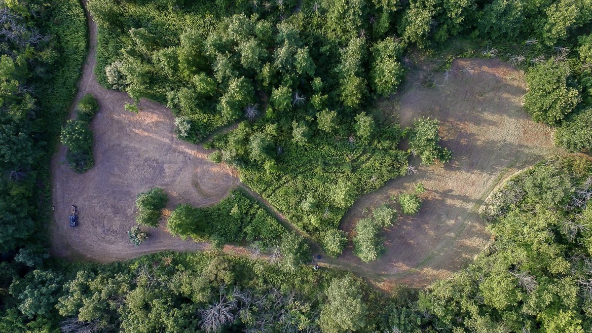 MCTProductions_'s tweet image. Before....After!