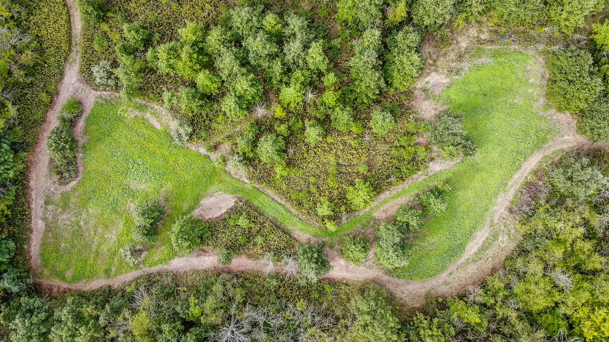 MCTProductions_'s tweet image. Before....After!