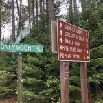 Bluefin_Bay's tweet image. Even on a cool rainy day, you can enjoy the fall colors with a fall color drive on the Honeymoon Trail loop.
🍁This week's Fall Color Report is out!
Find it here&amp;gt;&amp;gt;&amp;gt;  buff.ly/2NzhwNc
#onlyinmn #fallcolors #fallcolordrive #Minnesotafall #donorthmn