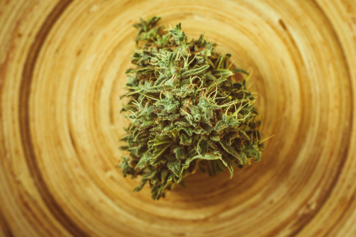 7Filthy's tweet photo. 3 must haves for starting a cannabis brand  https://t.co/b2zcFPOXGQ #GrowLIFE #weed #blunts #cannabis #marijuana #420 #kush #weedporn #edibles #concentrates #stoner #rosin #pnw #pnwstoner #maryjane #dank #indica #sativa #hybrid #dab #wax #thc #extracts #legalizeIt #FilthyLIFE https://t.co/Mk9WFxUfs8