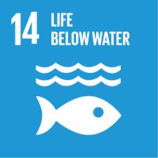PurplePearlswng's tweet photo. #SDG14: Conserve and sustainably use the #oceans, #seas and marine resources for sustainable development. #There is much to be done to empower women in ocean-based livelihoods and to lead sustainable development efforts More @ https://t.co/I1ZcgWEf98 #Act4SDGs #JeedahPro @nnngo https://t.co/jq1El1DbLl
