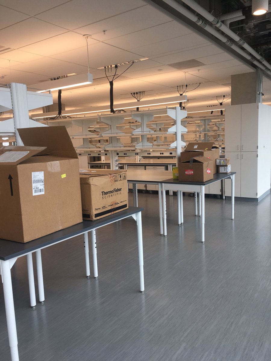 Neal_Lab's tweet photo. Move in day! Please stop by for a visit #TATAhall #openingday #NewLabSpace https://t.co/8MLymWDqWB