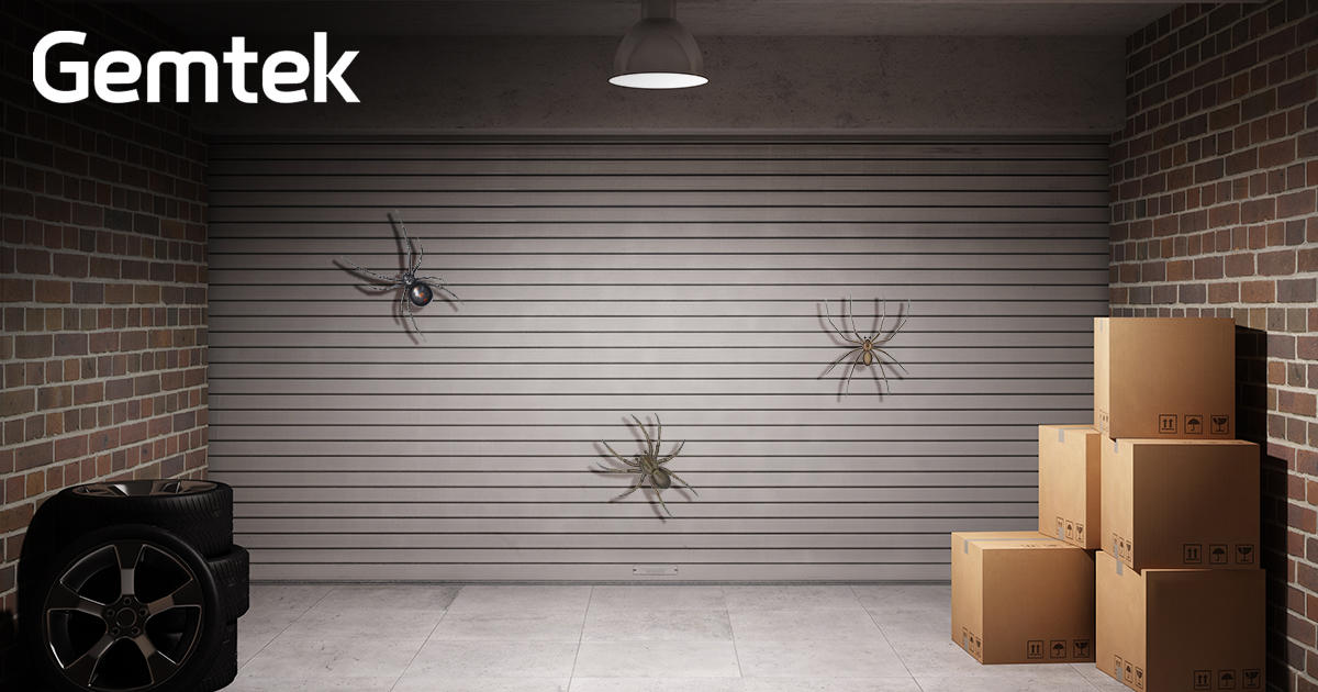 Idaho is home to a variety of #spiders including black widow, brown recluse, wolf spiders and more. When they start creeping into your territory, we’re here to help! #ArachnidAssassins 

fal.cn/VOQF