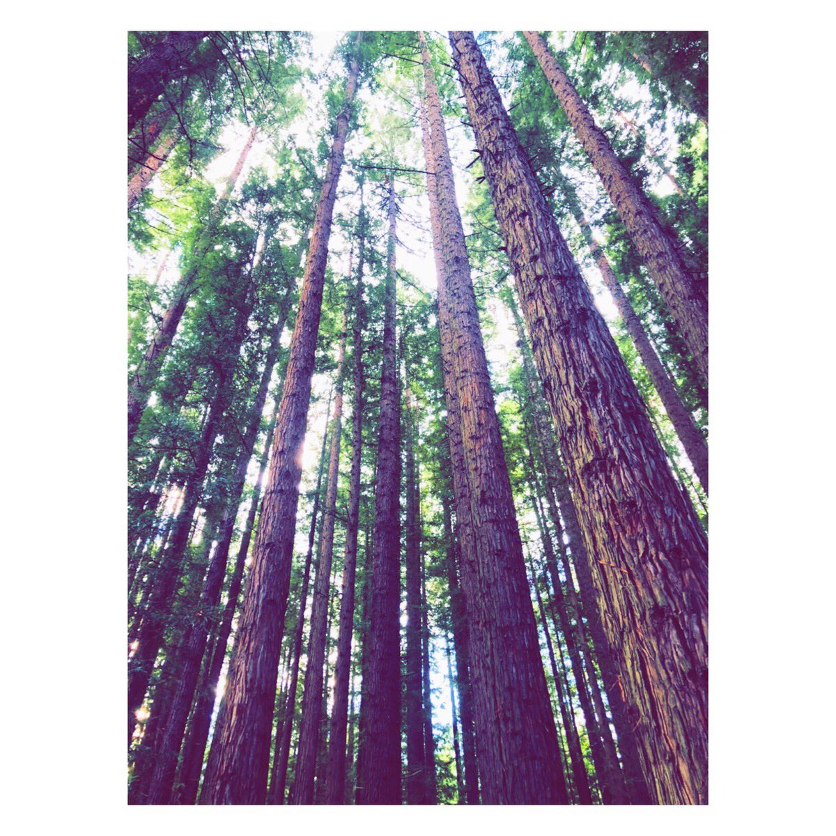 SashyK12's tweet photo. I love places that make you realise how tiny you and your problems are ...

 #Explore #discover #travel https://t.co/UkEDECdt3m