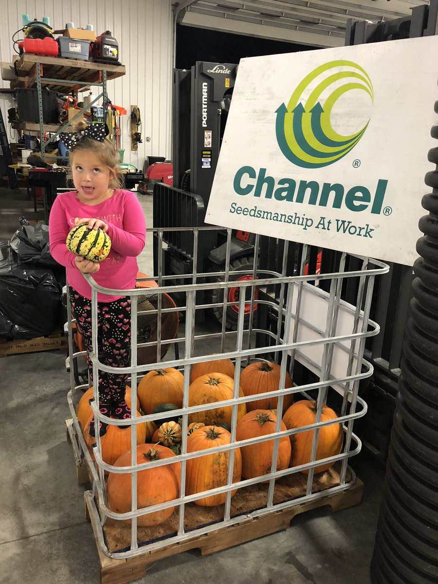 MenchhoferSeed's tweet photo. First 500 bags of @ChannelSeed corn ready to deliver this Saturday. Candy corn, that is! Getting ready for 2018 Versailles Pumpkin Show Parade. @rn_menchhofer @MoninWhitney https://t.co/2DyoKe1Mrv