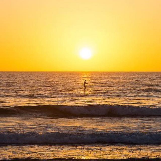 DMBeachGetaway's tweet photo. Cool πΈ!
Another reason to β€οΈ @torreypinesreserve .
.
#Repost @dr_emperor
γ»γ»γ»
Yesterday, @cassandrayost & I went on a baby #hike at #TorreyPines State Reserve & watched the #sunset. California really is the #bestcoast.
.
.
#torreypines #torreypine⦠https://t.co/A3UamZTkS6 https://t.co/Ih9zJmz4nU
