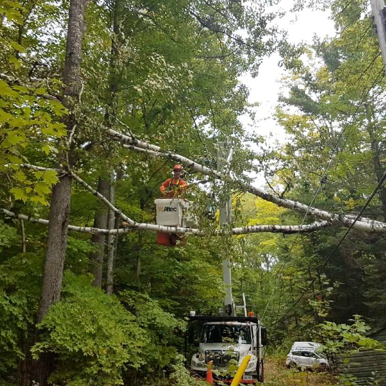 Taylor Jordan Teeraej Twitter