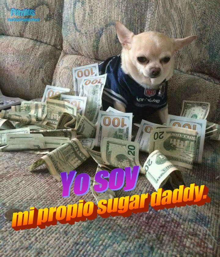 n vejo a hora de usar esse meme com vigor