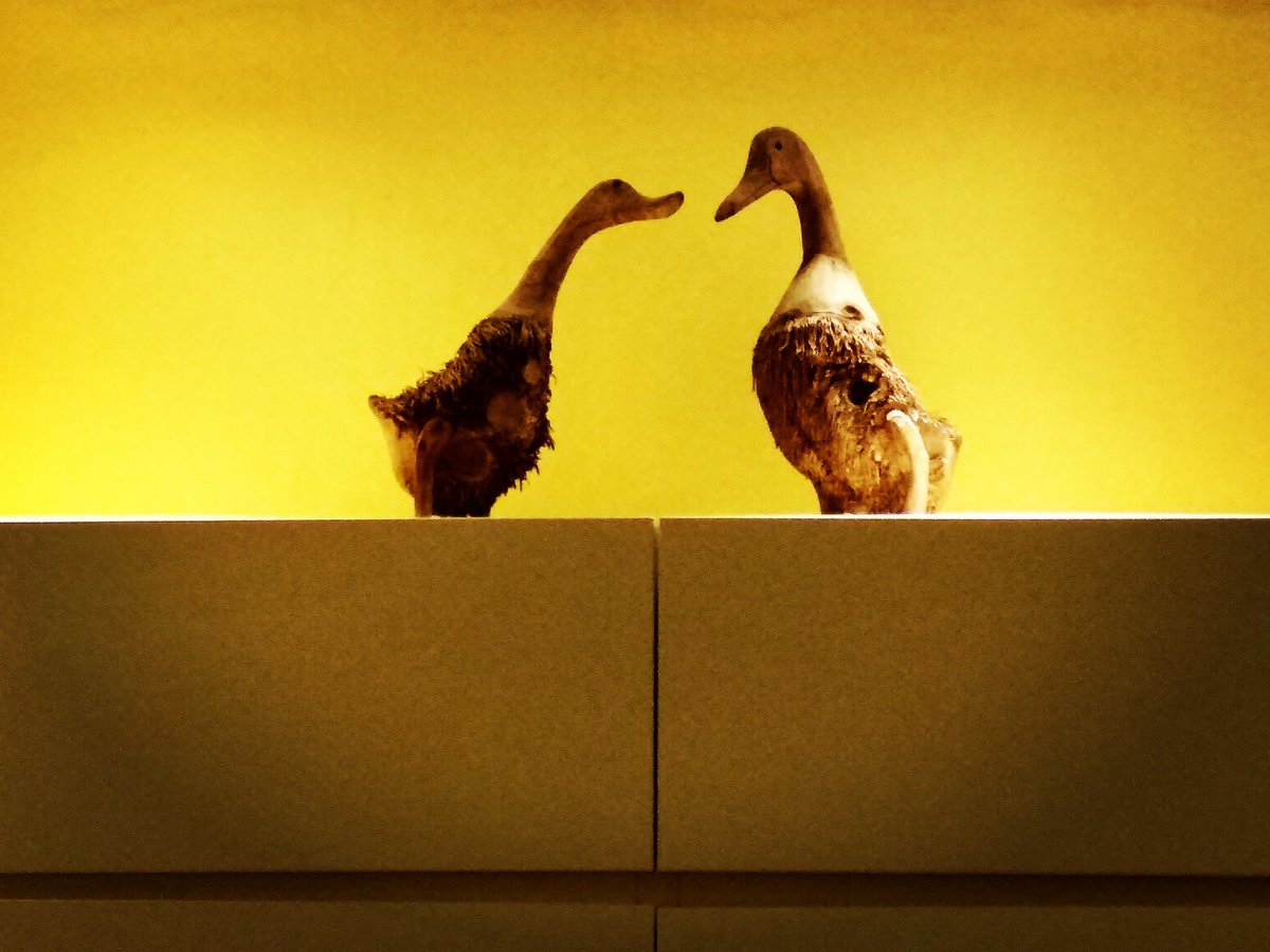 RicetableSG's tweet photo. Did you know....
That there are 2 ducks in our restaurant? 🤔

#ricetable #singapore #allyoucaneat #buffet #sgfood #foodblogger #FoodNetwork #food #foodanddrink #cafe #SG #sg #cafesg #dinnertime #DiningRoom https://t.co/w7srZPH54L