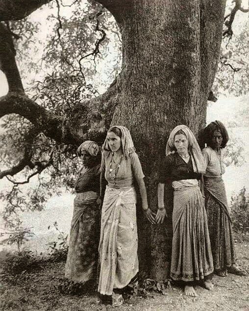 StolenPhotograf's tweet photo. The Chipko movement (which means “to cling”) started in the 1970s when a group of peasant women in Northern India threw their arms around trees designated to be cut down. They were the original “tree huggers.”
#chipko #savetrees #greenearth #trees #vintage #treehugger #india https://t.co/Ygr6nMLQDz