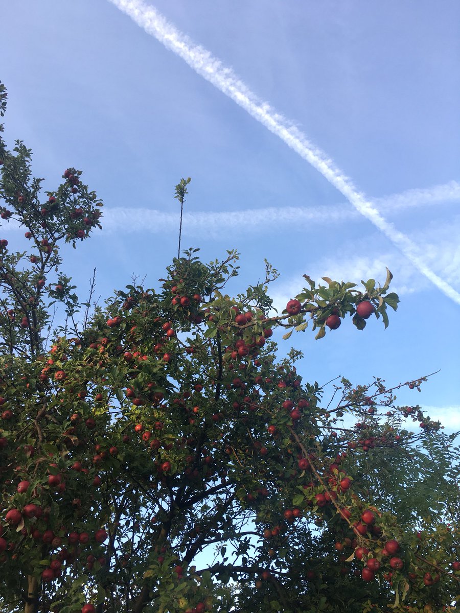 Apple for my  teacher? An apple a day keeps the doctor away? Who will buy my juicey red apples? Take your pick 🤔<a href="/OssettAcademy/">Ossett Academy</a> <a href="/AccordSixth/">Accord Sixth Form</a>