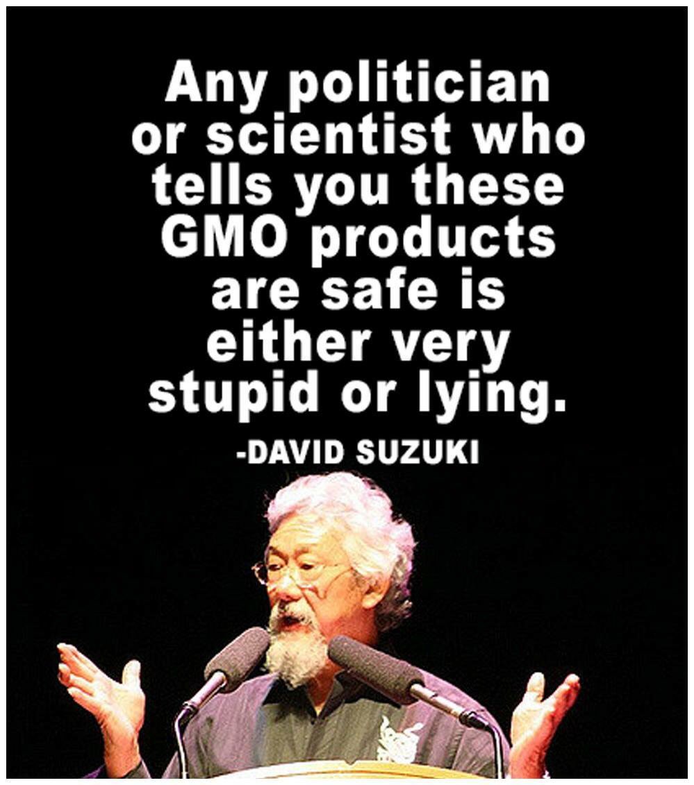 IRTnoGMOs's tweet image. 100% agree!👊
