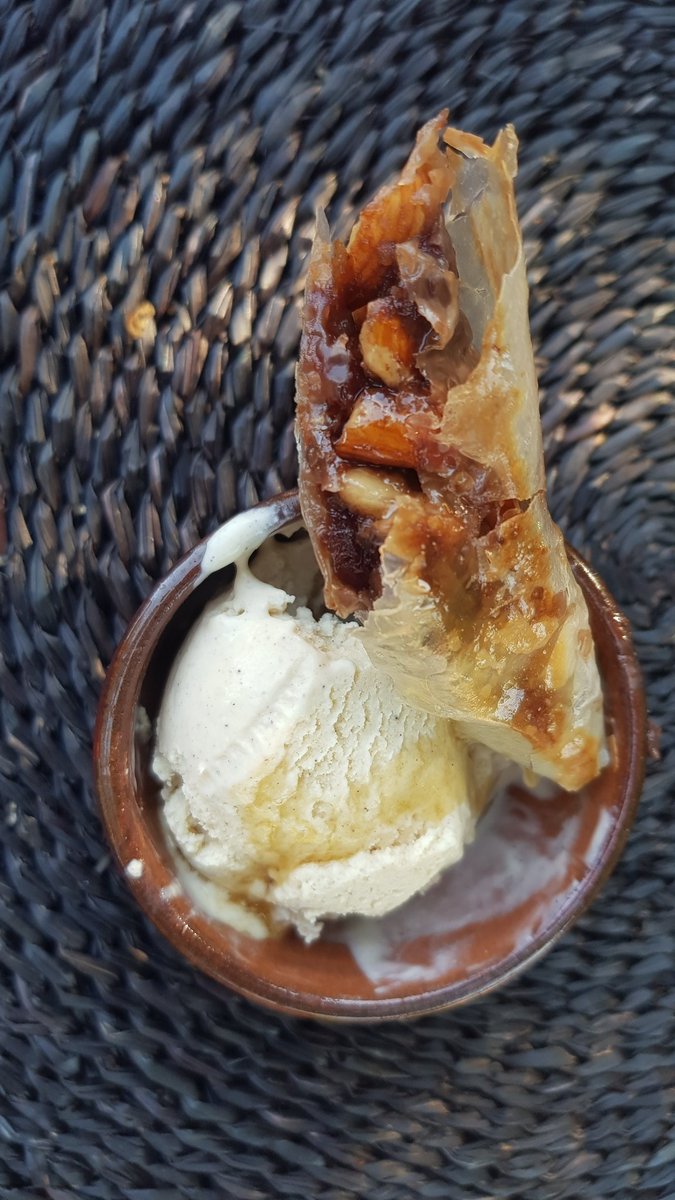 Travelbug Rose🐞 tweet media