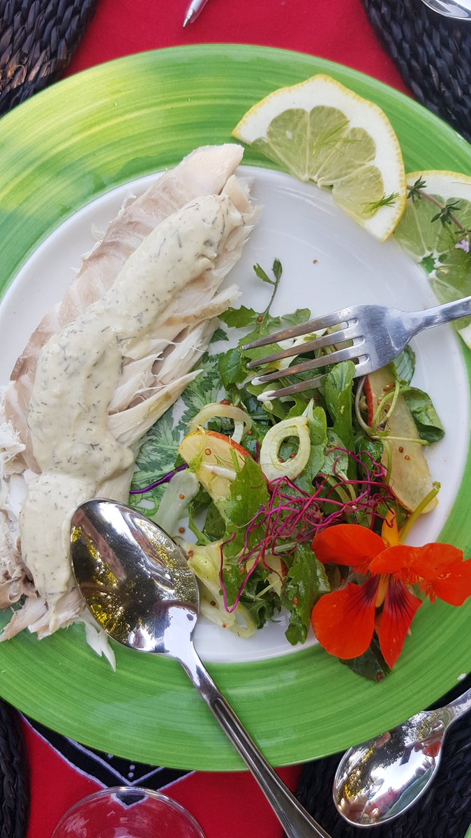 Travelbug Rose🐞 tweet media