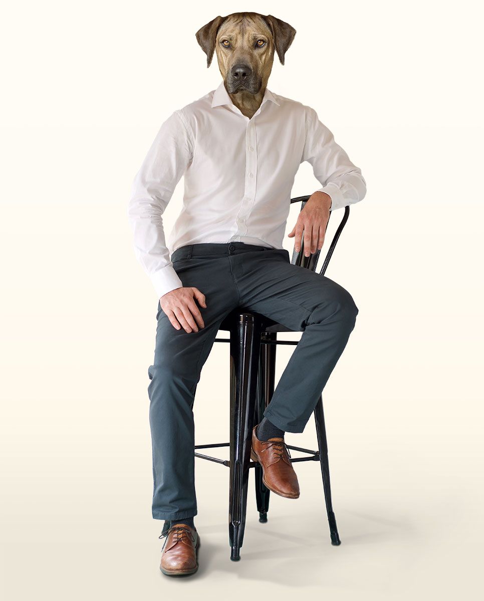 James Bond once said “Everman’s chinos fit me like a sleeping beauty gently wrapped around me while I read the paper in bed in the morning.” It's possible that it is a fictitious quote, but if 007 did have something to say about our chinos, that would have been it.