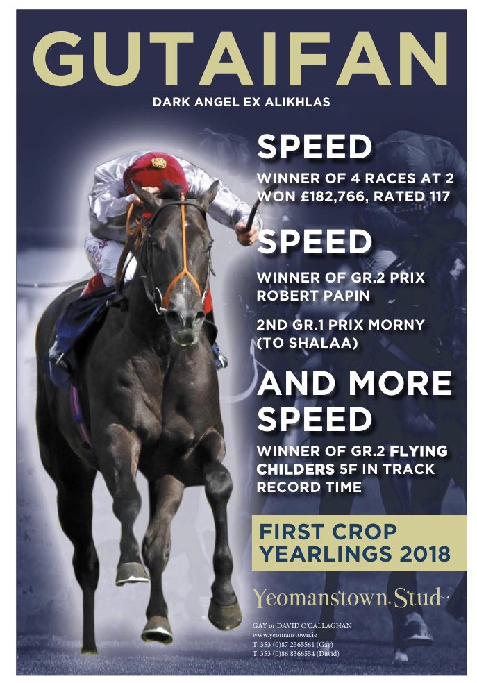bloodstocknews's tweet image. Don’t miss the first crop yearlings at the forthcoming sales by @YeomanstownStud’s dual Juvenile Gr.2 winner &amp;amp; Juvenile Gr.1 second GUTAIFAN (Dark Angel) #readallaboutit
