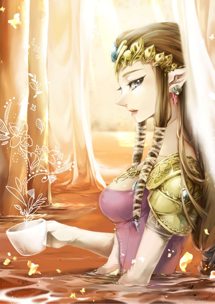 Pin By Jay Theanimegamer On The Legend Of Zelda Saga Legend Of Zelda Princess Zelda Zelda Twilight Princess