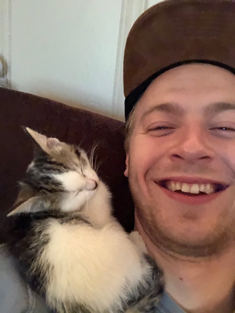 Check out how this kitten fell asleep on me hahahaha