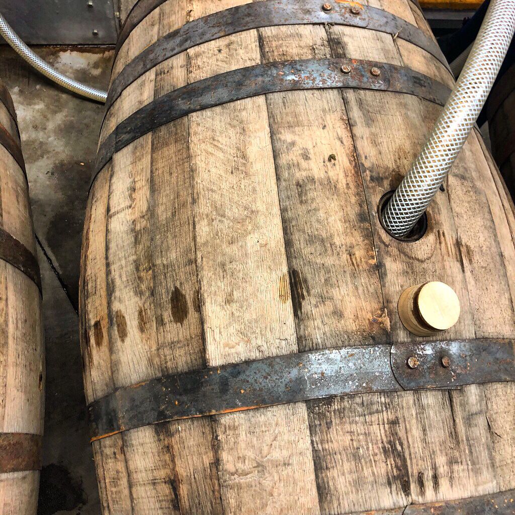 EauClaireCraft's tweet image. Our Whisky harvest has begun! 🥃 Countdown is on for our second Single Malt Whisky release! Join our Cask Club to be the first to find out when! #shareeauclaire #farmtoglass #whisky #canadianwhisky #singlemalt