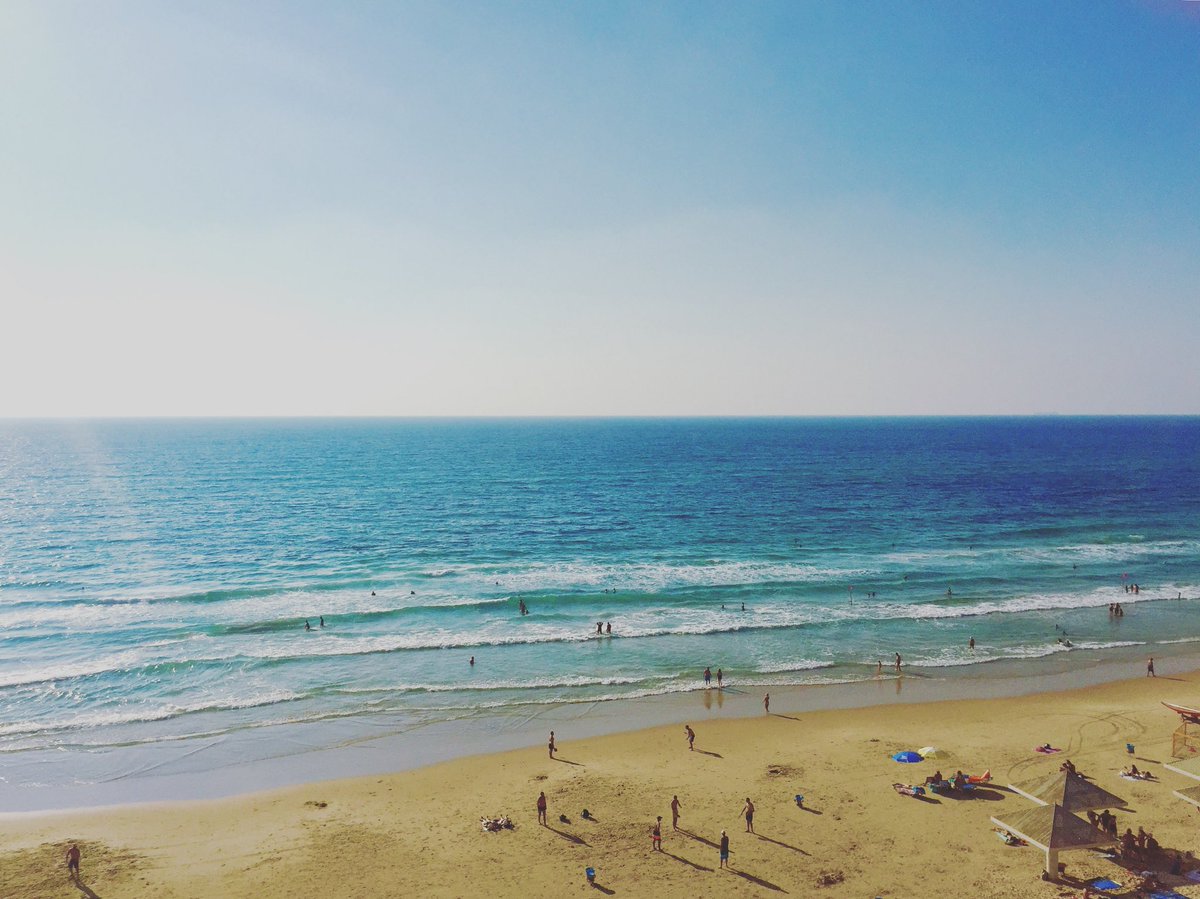 KirschNeta's tweet image. Love.
#earpers #creampuffs