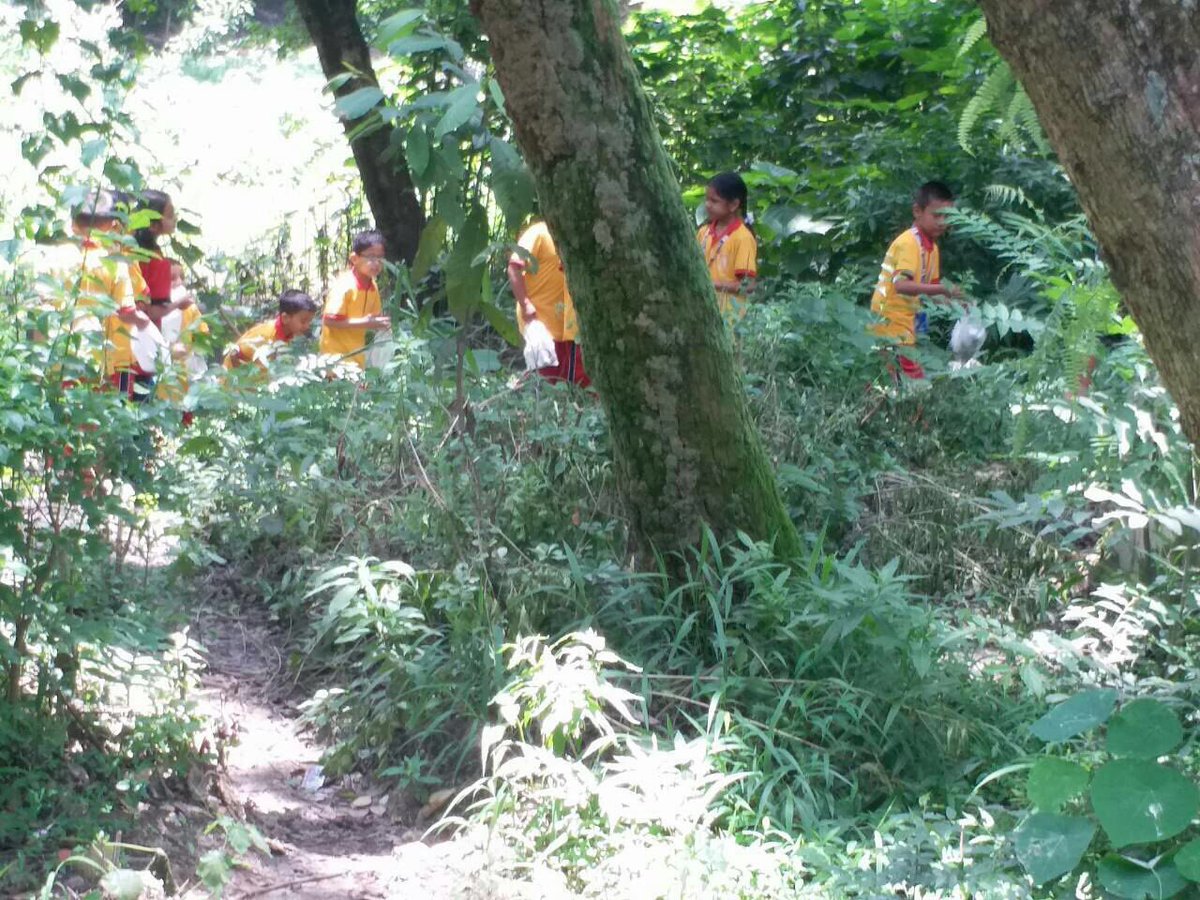 PennwoodAcademy's tweet photo. #InsectHunt @PennwoodAcademy https://t.co/mkRSsutBIX