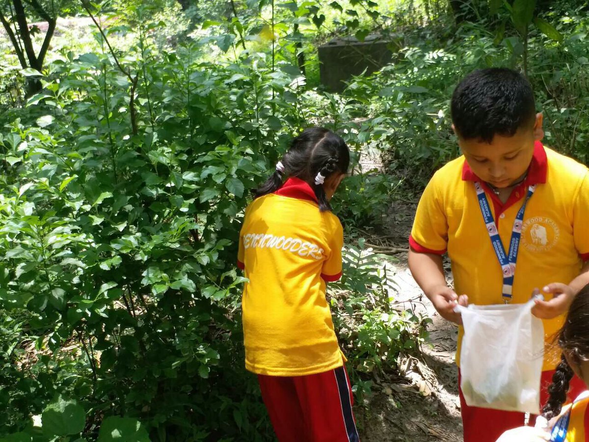 PennwoodAcademy's tweet photo. #InsectHunt @PennwoodAcademy https://t.co/mkRSsutBIX
