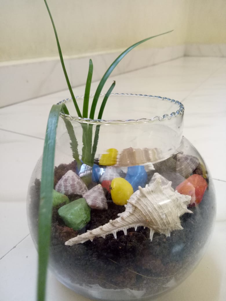 Vruksha5's tweet photo. Children learned the making of Terrarium- the art of growing plants in the Bottle.
#montessorischoolsinchennai #ECR #pondicherry #chennai #gingee #MontessoriNow #ideas  #preprimaryprogram #montessorisecondary #elementary #kids #internationschool #villupuram #tindivanam #cuddalore https://t.co/cSHeasqh2A