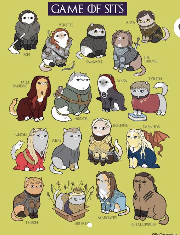 katiespaghetti's tweet photo. more kitties😻 https://t.co/BRg1YpuBSQ