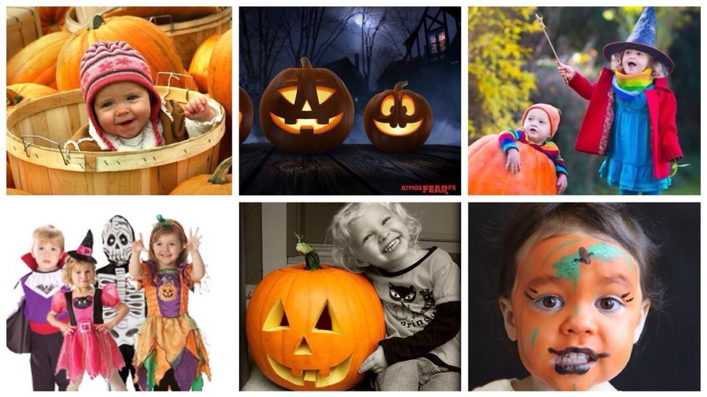 The BIG Sheep tweet media