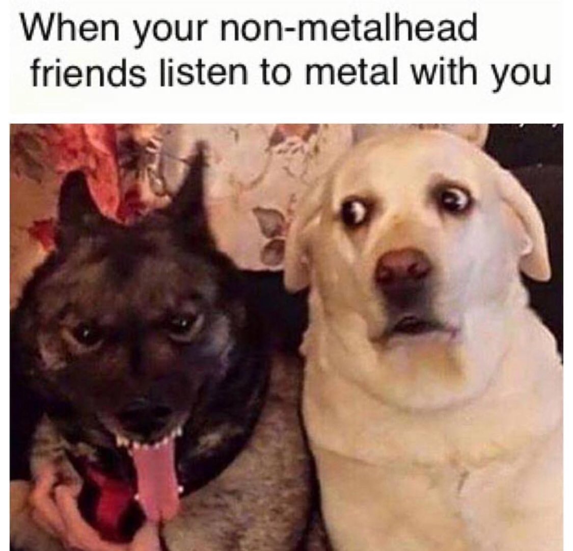 BlackCraftCult's tweet image. Retweet if you can relate
Photo: @horrorgallery
blackcraftcult.com