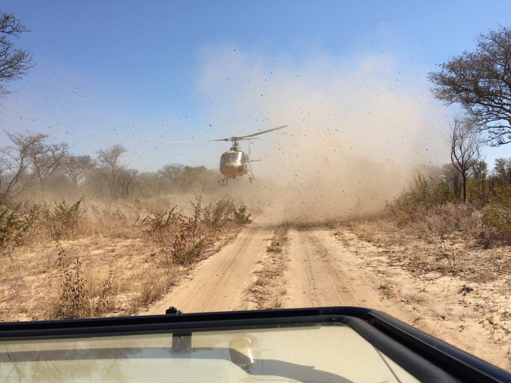 GoodThingsGuy's tweet photo. Hawks arrest Seven alleged Rhino Poaching Kingpins! - https://t.co/5XS3R9Vg7e https://t.co/3t1SXj20in