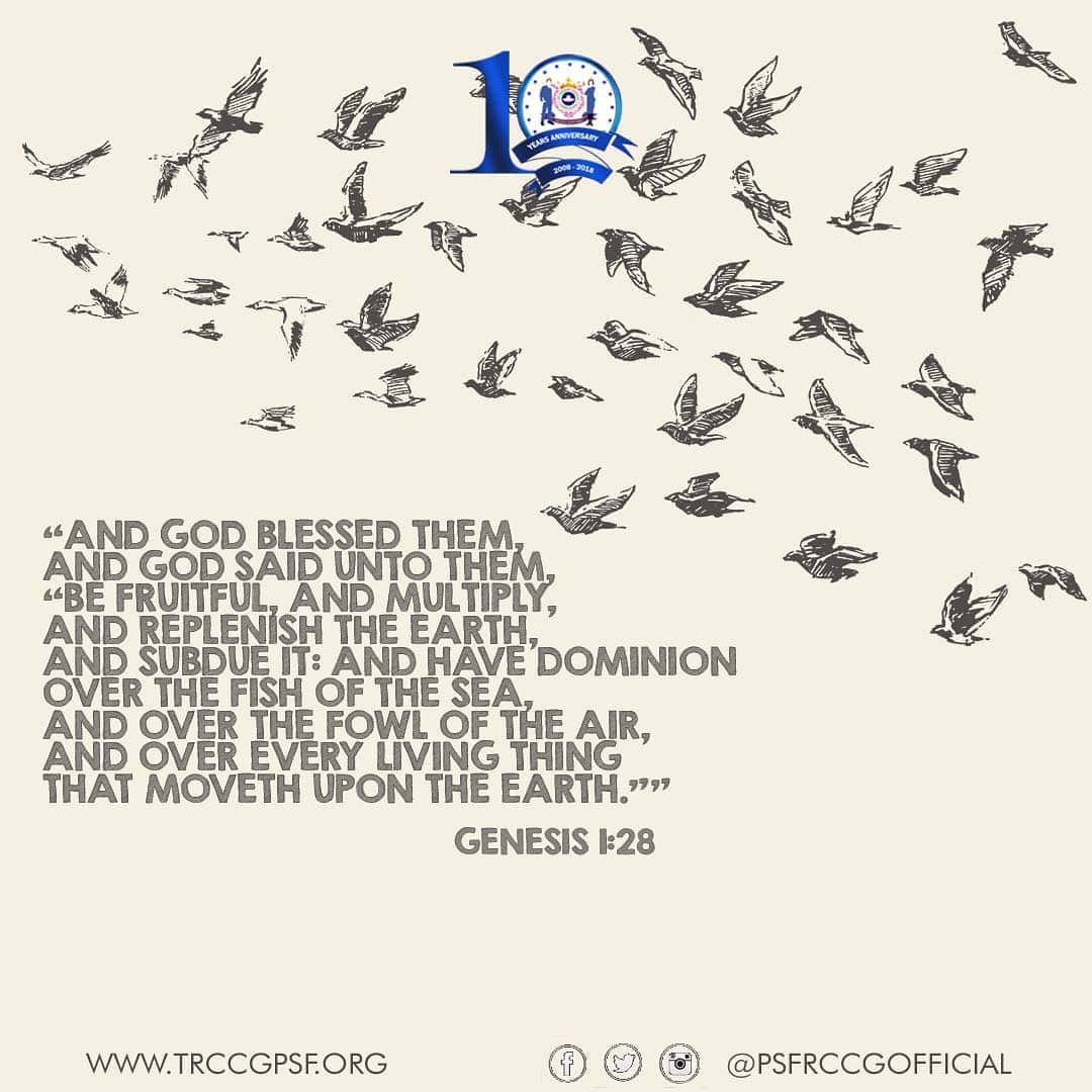 PSFRCCGofficial's tweet photo. One of the major characteristics of living things is growth. God doesn't want us to grow only, He wants us to multiply exponentially. The major secrets to multiplication are living a holy life, abiding with God and praising God at all times. 
📖 #OpenHeavens #MemoryVerse https://t.co/QGvsanZb10