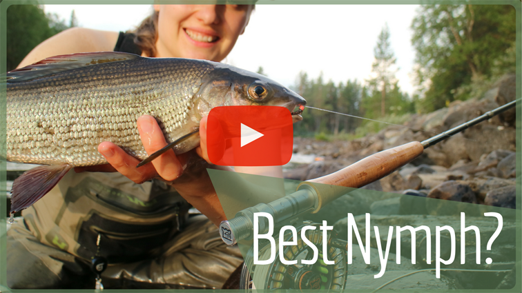 KajanaClub's tweet photo. Fly fishing Norway โ
Grayling Nymphs โก๏ธ https://t.co/yy7Zf84jYk ๐ฆ
#grayling #graylingfishing #graylingfly #graylingnymph #fishingvideo #Flyfishingvideo #fishingvideos #flyfishingvideos
#flyfishing https://t.co/6J7m08SaG0