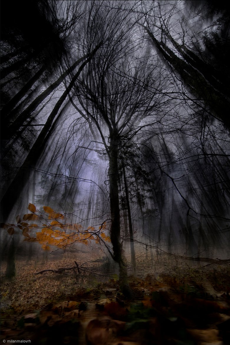 Photography by Milan Malovrh. #Photography/#France