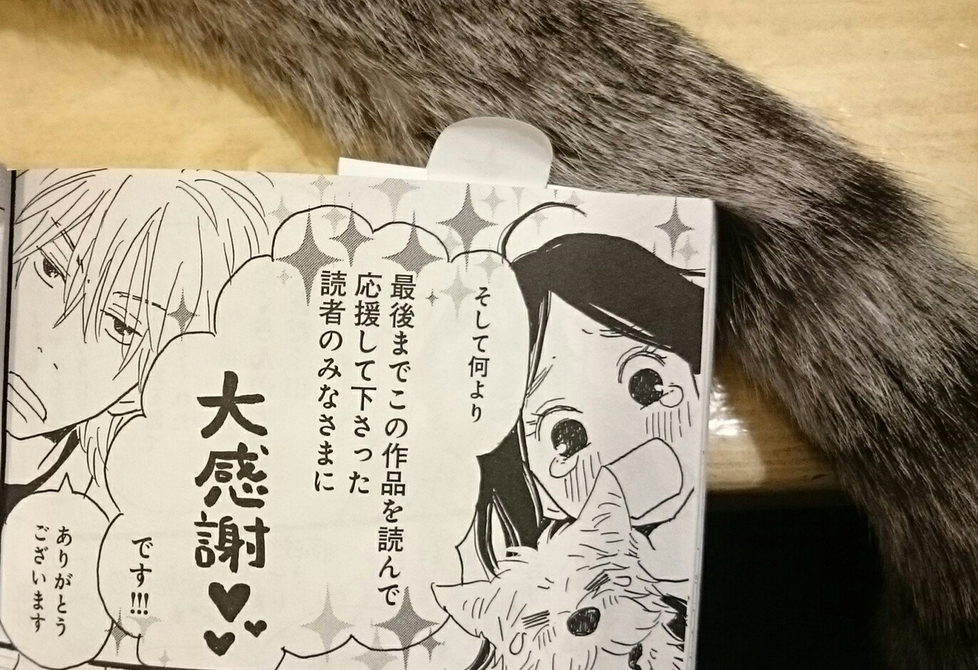 ট ইট র 斉藤倫 ノーにゃんこ 巻12 24発売 路地裏しっぽ診療所 巻 本日9 25発売しましたー 描きたいことまだまだありましたが完結です 総ページ数もちょっと多くおまけも盛りだくさん でお値段も40円 程いつも ট ইট র 斉藤倫 ノーにゃんこ 巻12 24発売 路地裏しっぽ診療所 巻 本日9 25発売しましたー 描きたいことまだまだありましたが完結です 総ページ数もちょっと多くおまけも盛りだくさん でお値段も40円 程いつも