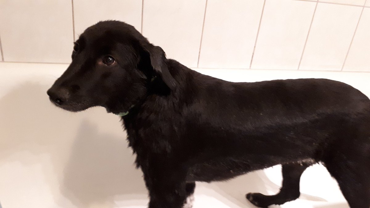 Lexy í 1 baðinu sinu